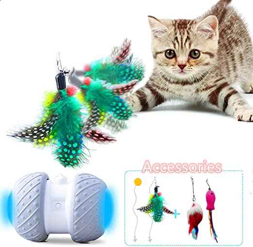juguetes para gato