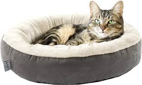 Cama para gatos: ¿Cuál es la mejor y por qué debería tener una cama?